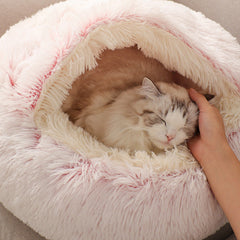 Cat Cave First Class Best Winter