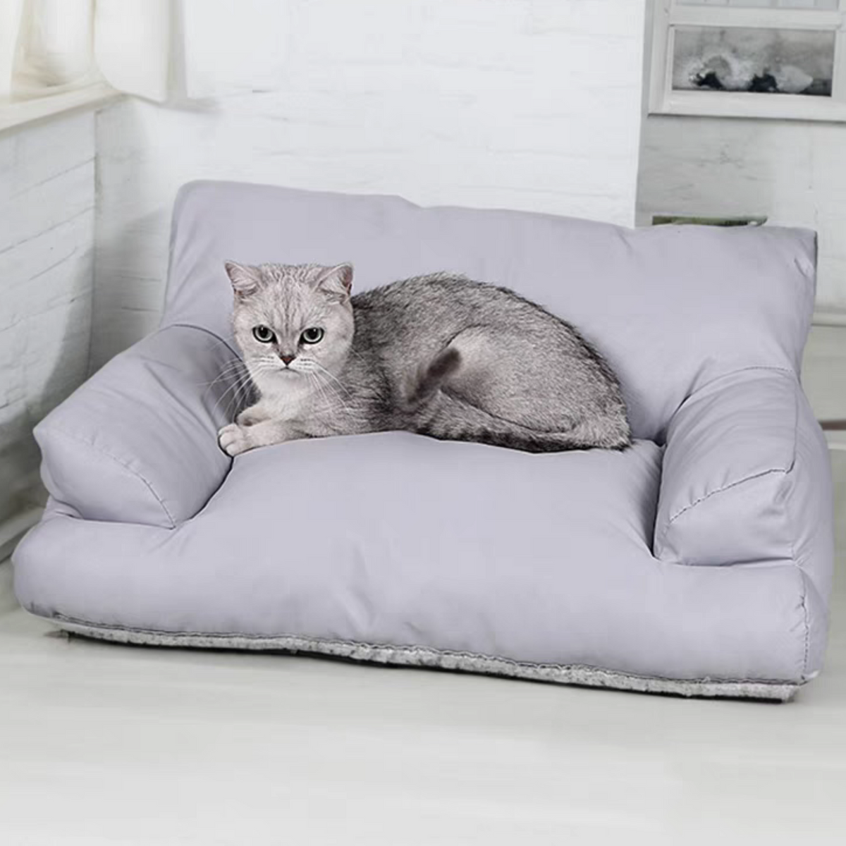 Cat Couch For All Seasons