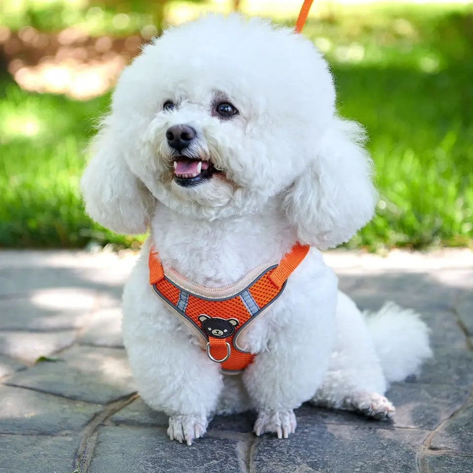 Vest Style Dog Leash