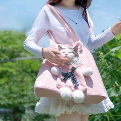 Small Dog And Cat Carrying Bag