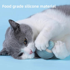 Cat Interactive Ball - PP38