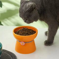 Ceramic Bowl For Cat
