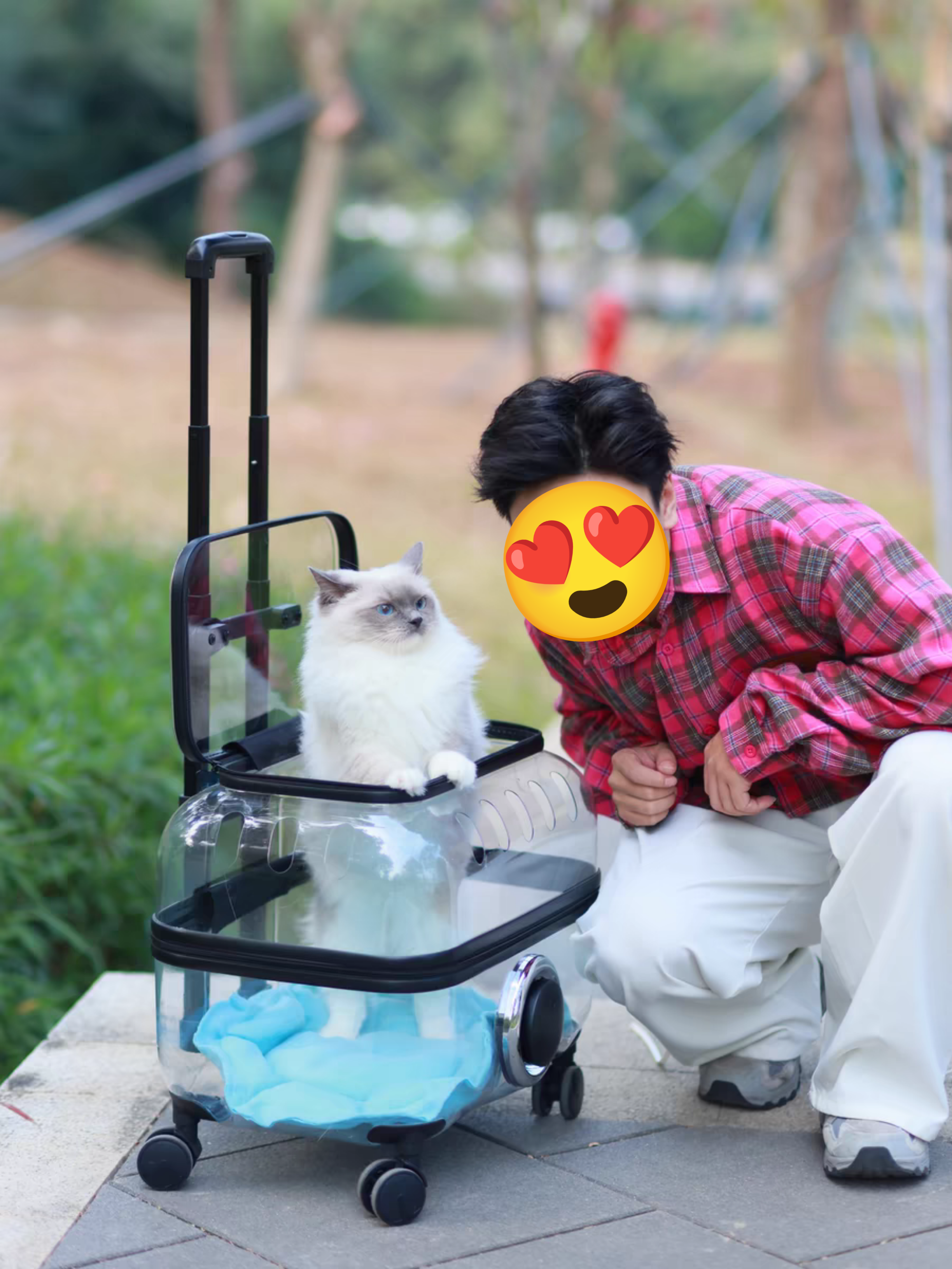 SweetPetStory® Transparent Pet Travel Trolley