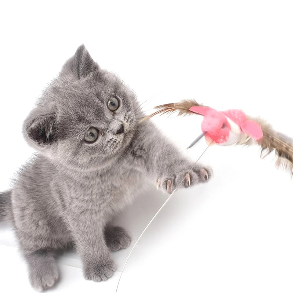 Automatic Electric Rotating Cat Toy